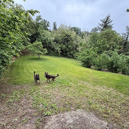 Bnb Dog And Friend Rocchetta Tanaro Esterno foto
